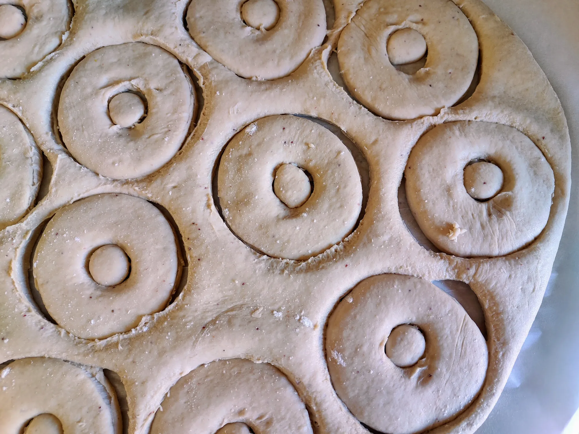 Rolled out dough with circles cut out of it, and smaller circles cut out of those to make ring outlines.